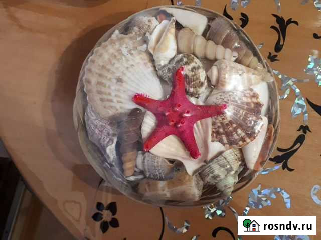 Ракушки для аквариума Астрахань - изображение 1