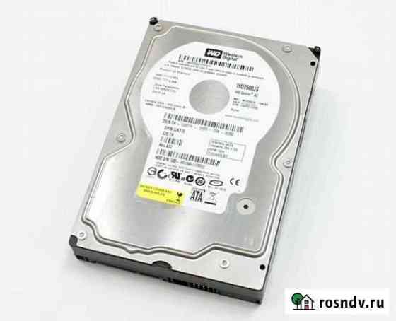 Жесткий диск Western Digital (WD) 250Gb (SATA) Тула