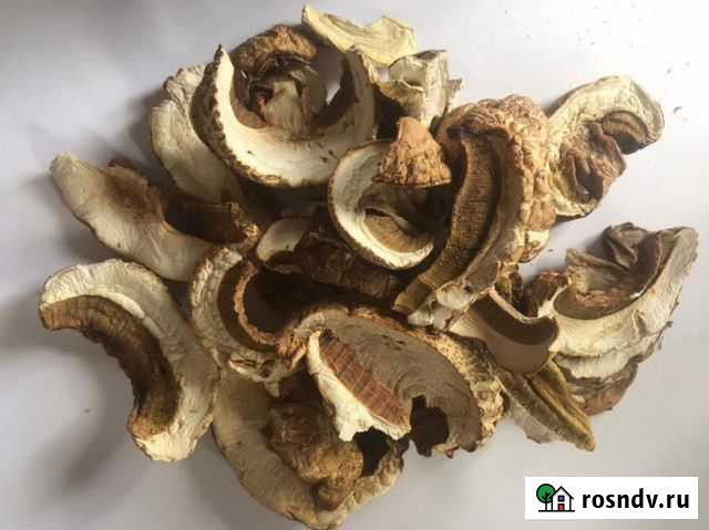 Грибы белые сушеные Томск - изображение 1