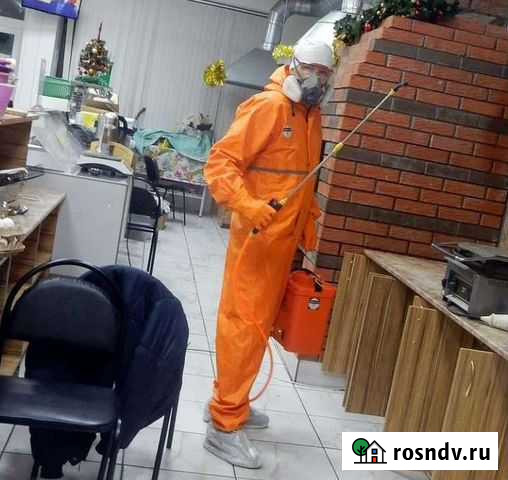 Уничтожение тараканов,клопов,клещей Балаково - изображение 1