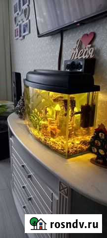 Аквариум Гусь-Хрустальный - изображение 1