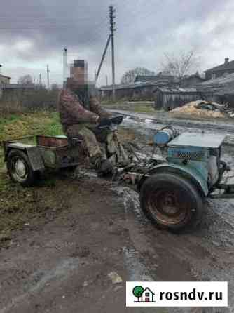 Продам каракат Сокол