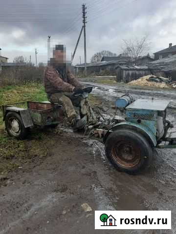 Продам каракат Сокол - изображение 1