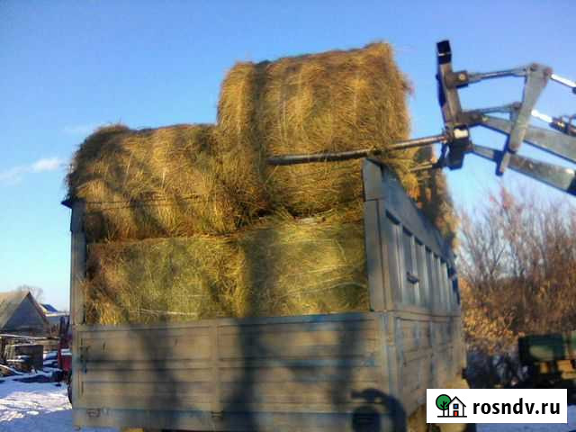 Сено (смесь трав) 250кг Средняя Елюзань - изображение 1