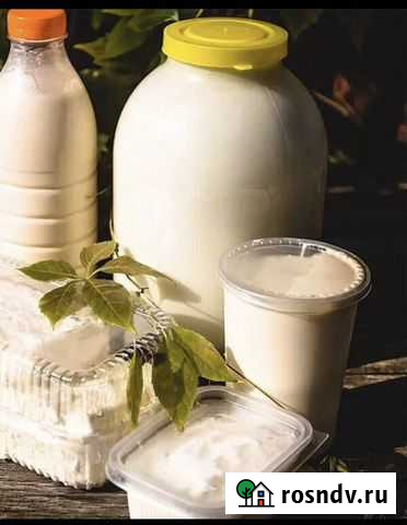 Сыр,творог,масло Воронеж - изображение 1