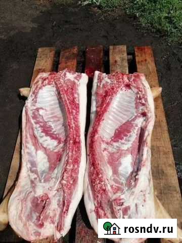 Мясо свинина Воронцовка - изображение 1