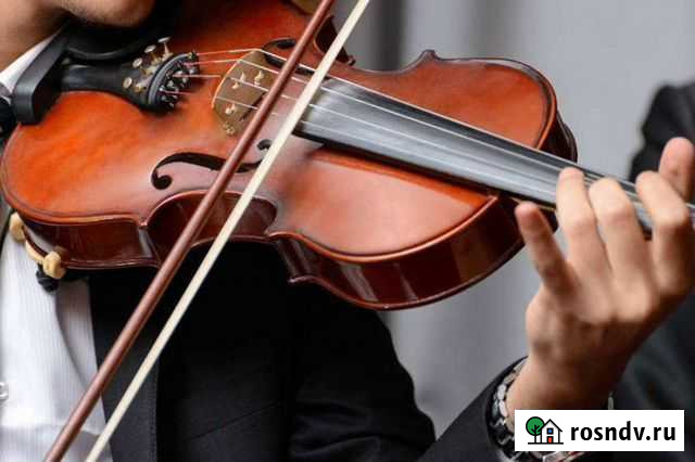 Уроки игры на скрипке Новосибирск - изображение 1