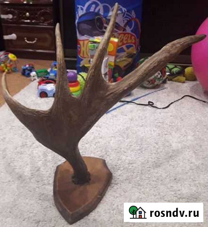 Рога лося на медальоне Ярославль - изображение 1