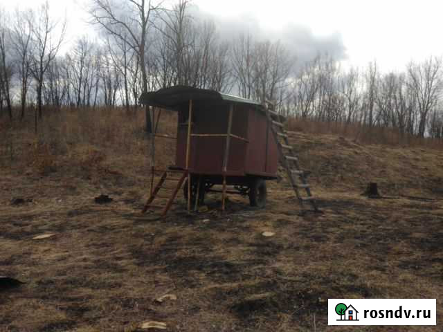 Пасика, пчёлы Завитинск - изображение 1