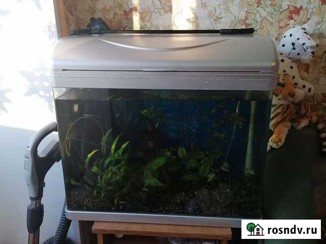 Аквариум Комсомольск-на-Амуре - изображение 1