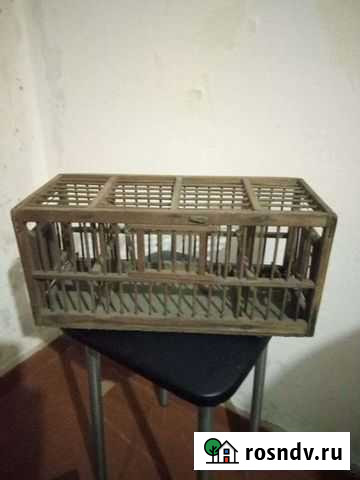 Садок Томск - изображение 1