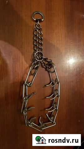 Ошейник Нижний Тагил - изображение 1