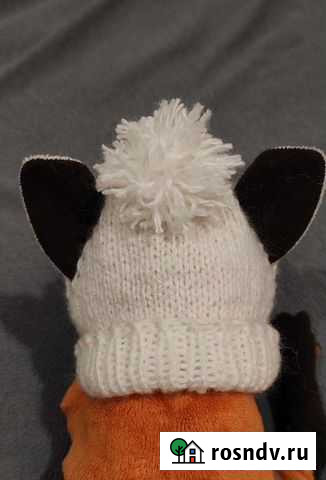 Шапки для собак Красково - изображение 1