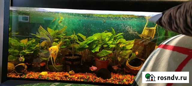 175 литров Аквариум Курган - изображение 1