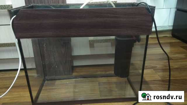 Аквариум Белгород - изображение 1