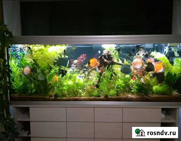 Продам аквариум Кемерово - изображение 1