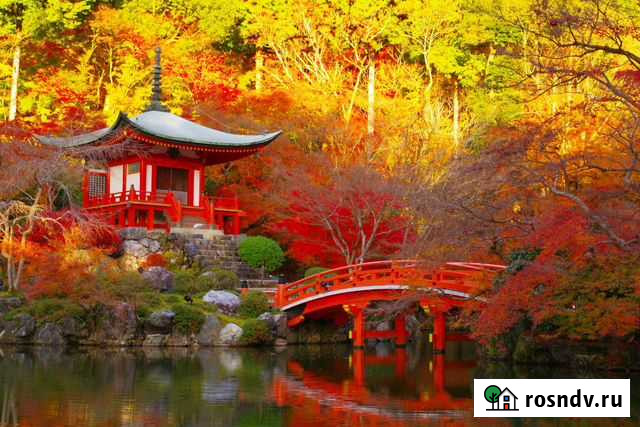 Репетитор по японскому языку Ковров - изображение 1