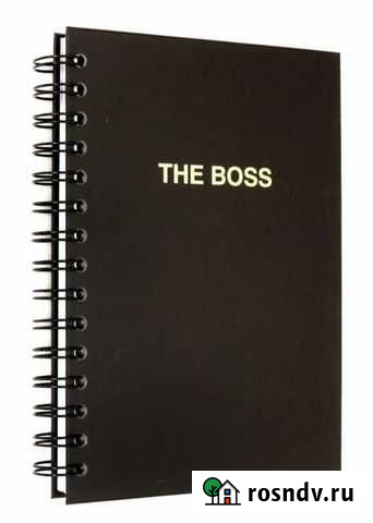 Ежедневник Казань - изображение 1