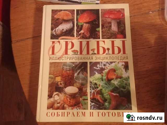 Грибы иллюстрированная энциклопедия собираем готов Дедовск - изображение 1