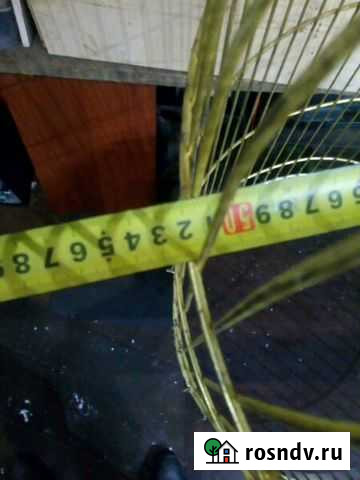 Клетка Мурманск - изображение 1