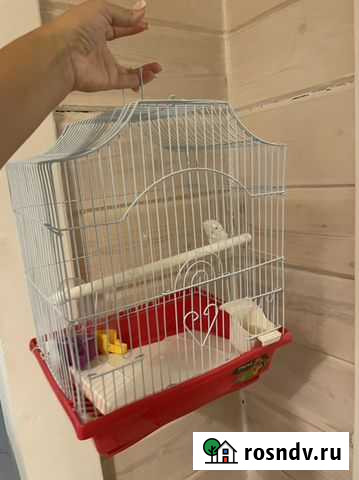 Клетка для попугая Сертолово - изображение 1