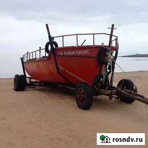 Чибис Щёлкино - изображение 1