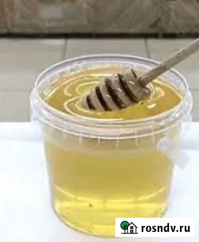 Мёд Акация свежий Тюмень - изображение 1