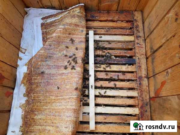 Положок, холстик Курган - изображение 1