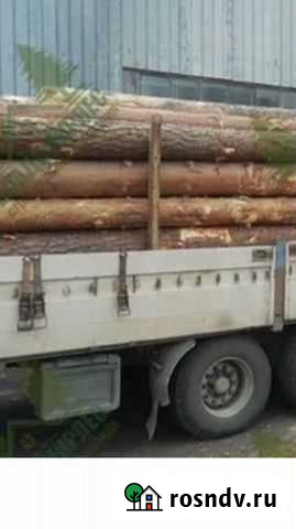 Отборный пиловочник от 30 и выше Куженкино - изображение 1