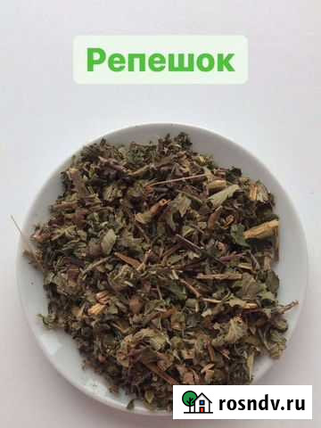 Репешок Черногорск - изображение 1