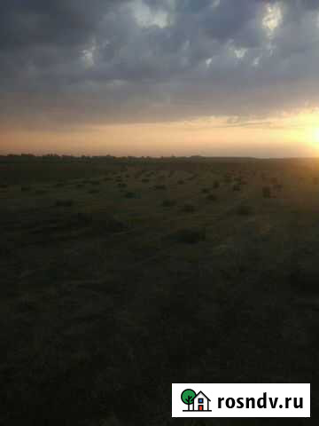 Сено Батуринская - изображение 1