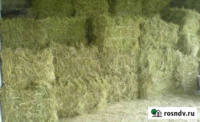 Сено Первомайский - изображение 1