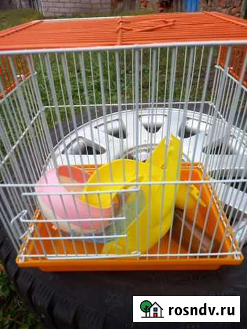 Клетка для маленьких грызунов Смоленск - изображение 1