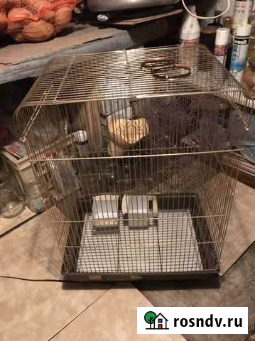 Клетка большая 40 на 60 Куровское - изображение 1