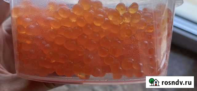 Икра красная Горбуша /Кета / Кижуч Магадан - изображение 1