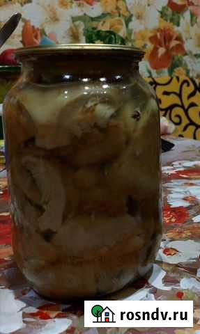 Грибы Лукоянов - изображение 1