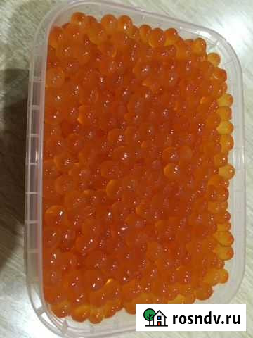 Продам икру Петропавловск-Камчатский - изображение 1