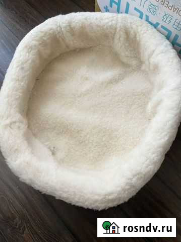 Лежанка Севастополь - изображение 1