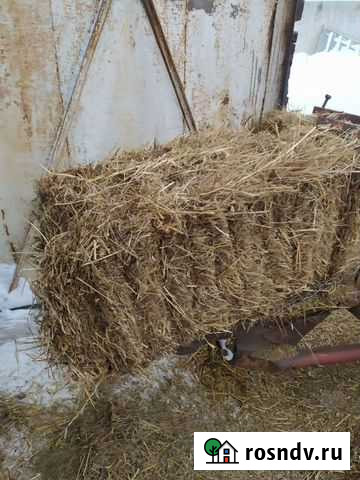 Сено, солома Черепаново - изображение 1