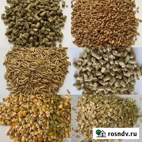 Комбикорм от производителя в «Кормушке» Славгород - изображение 1