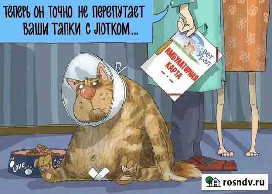 Ветеринарные услуги Тольятти