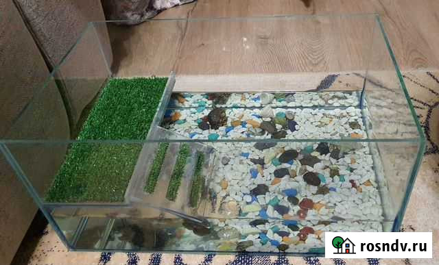 Террариум для красноухой черепахи Волгоград - изображение 1