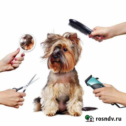 Салон груминга хм Ханты-Мансийск - изображение 1