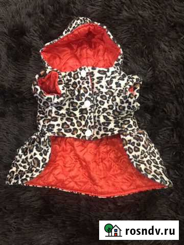 Вещи для собаки Киров - изображение 1