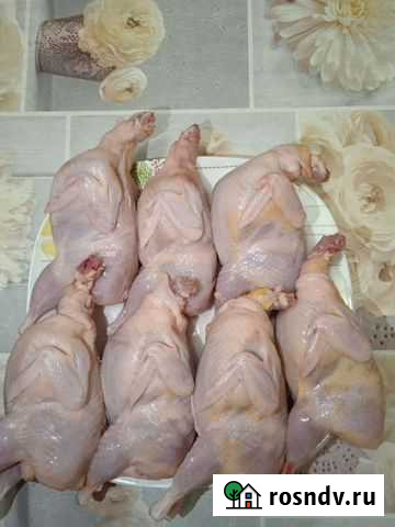 Мясо перепелов Аксай - изображение 1