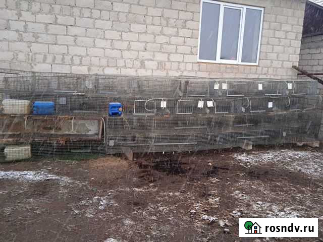 Сетка металлическая Чегем Второй - изображение 1