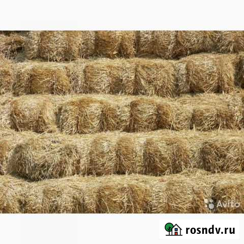 Солома в тюках Мечетинская - изображение 1