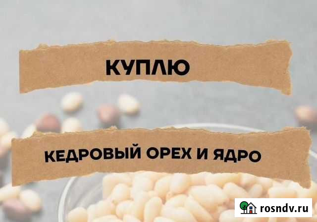 Кедровый орех Томск - изображение 1