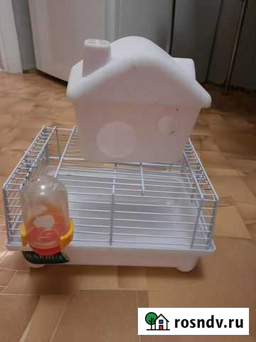 Клетка для хомяка Солнечногорск - изображение 1