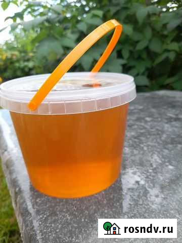 Мед с василька Верх-Катунское - изображение 1